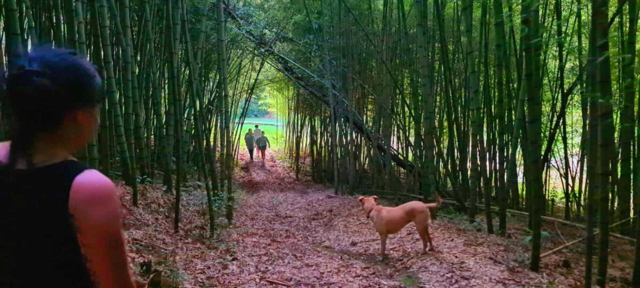 Pousada Green Valley Sao Roque  Ngoại thất bức ảnh