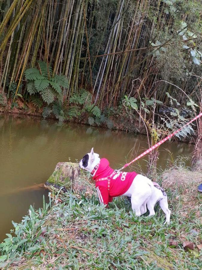 Pousada Green Valley Sao Roque  Ngoại thất bức ảnh